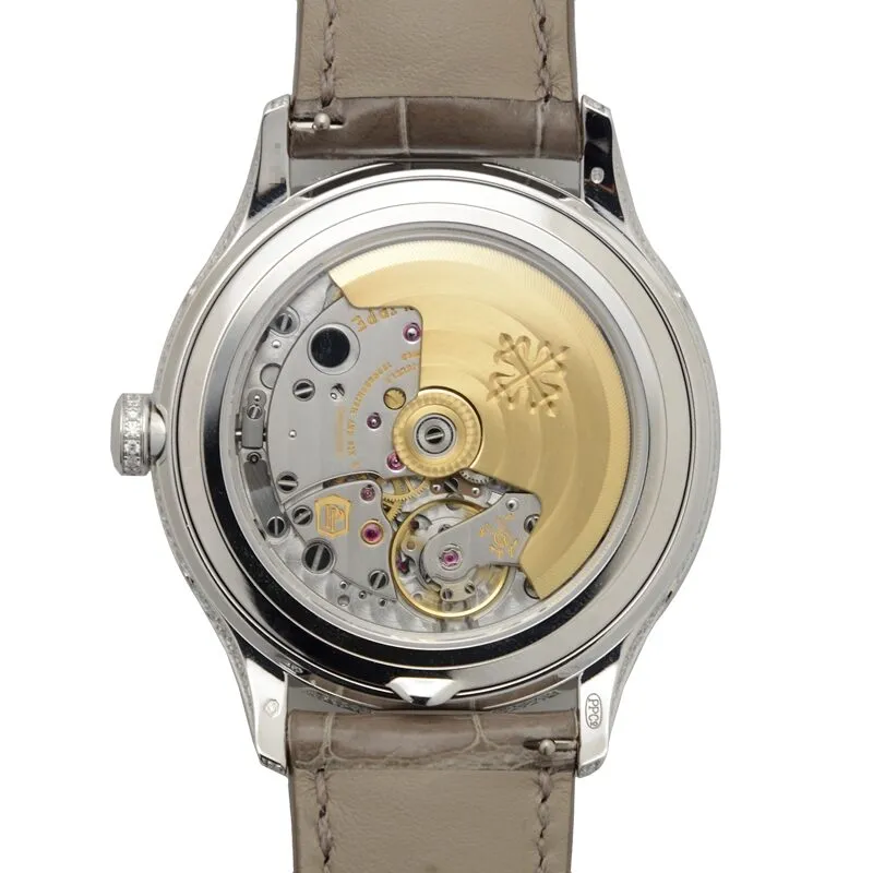 Patek Philippe Complications Annual Calendar Ladies Watch 4948G-001