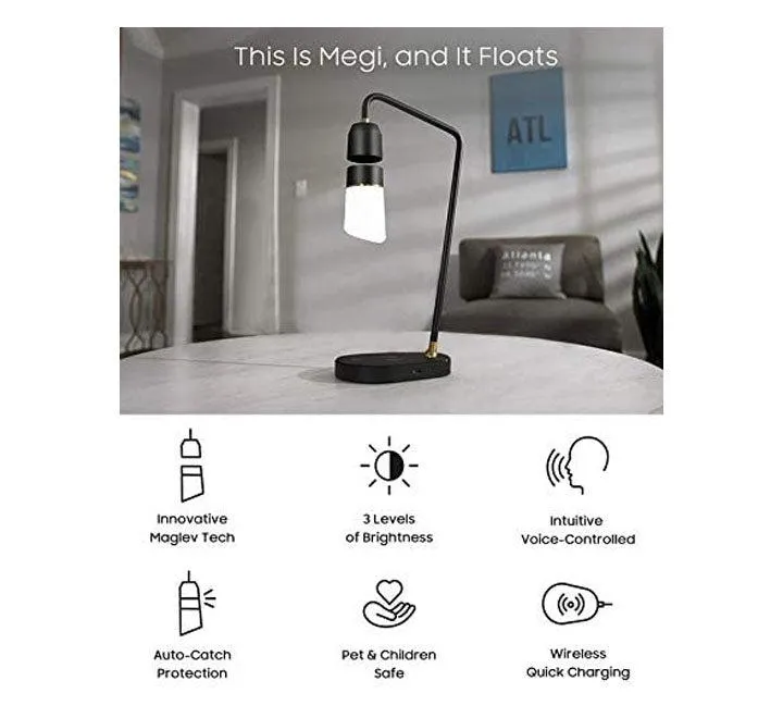 Voice-control Floating Lamp